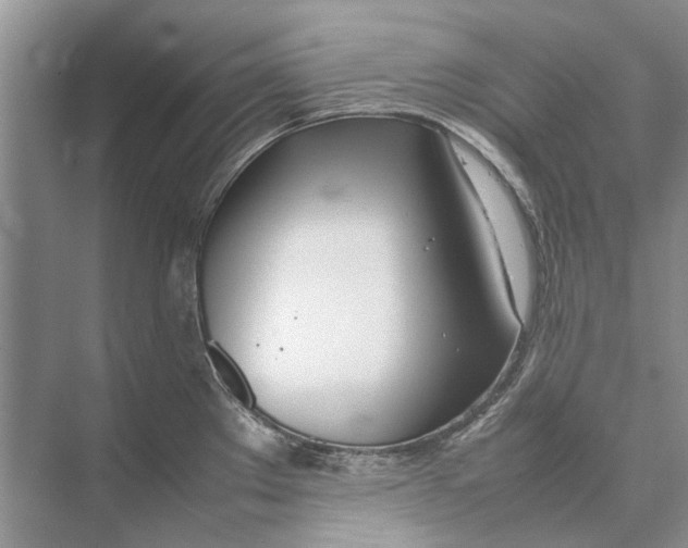 X0000074311289200609222351