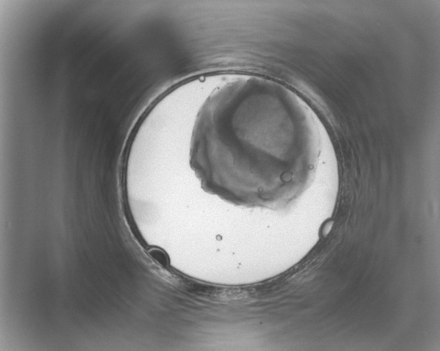 X0000074311291200609222351