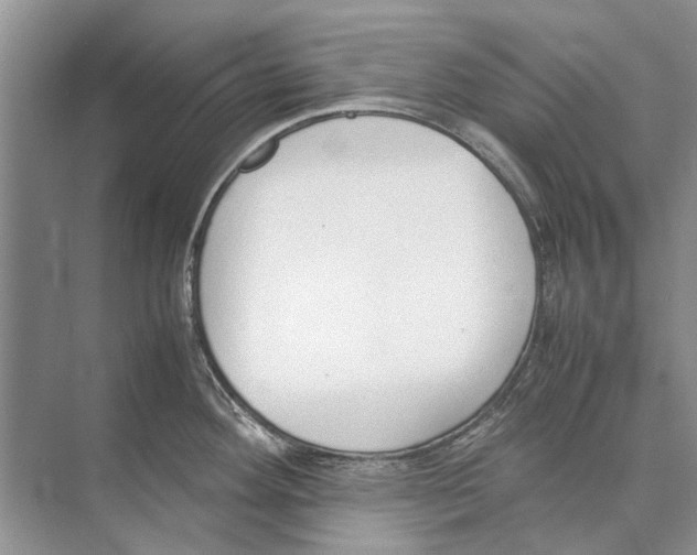 X0000074311292200609222351