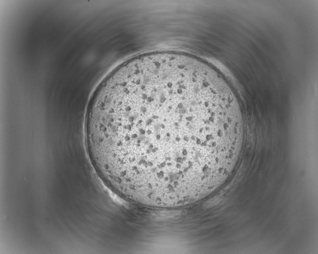 X0000074311294200609222351