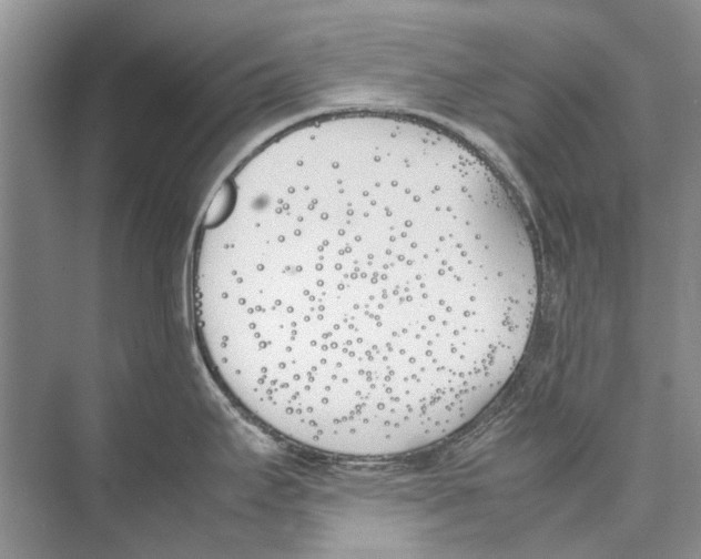 X0000074311295200609222351