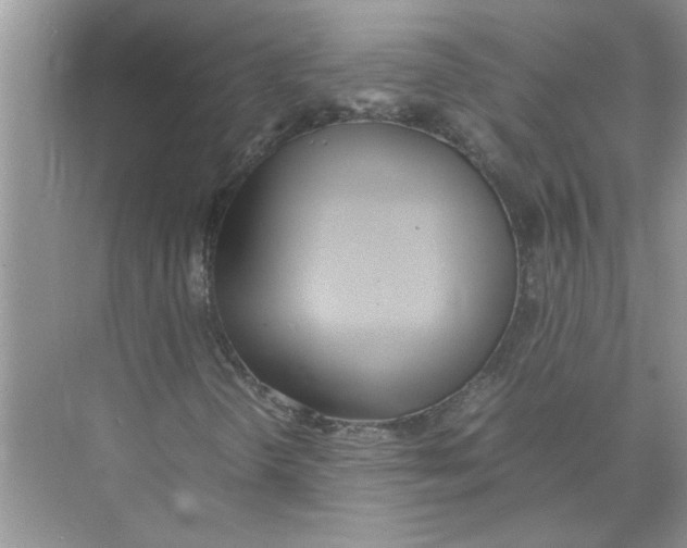 X0000074311298200609222350