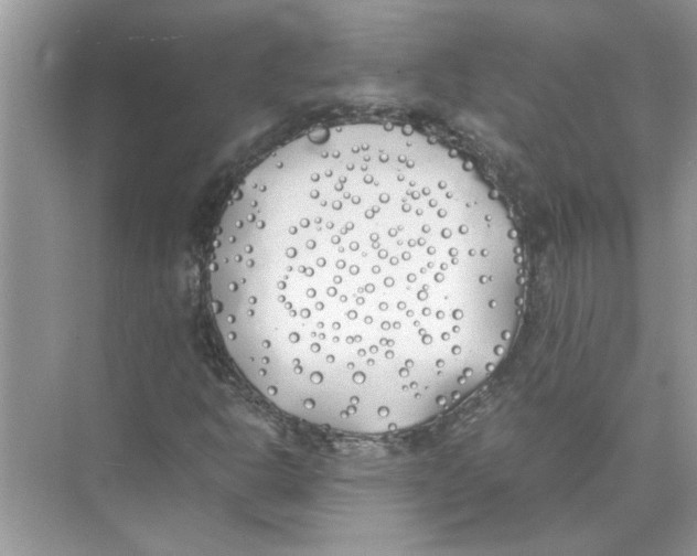 X0000074311302200609222350