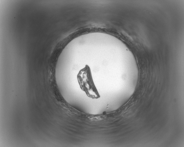 X0000074311303200609222350