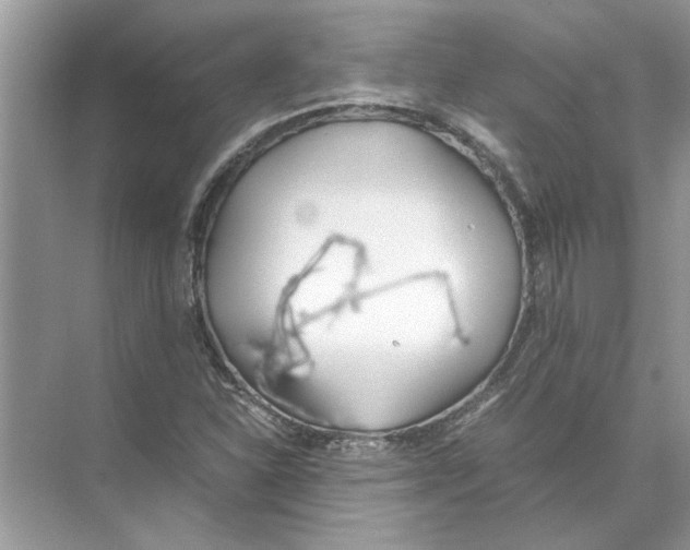 X0000074311310200609222350