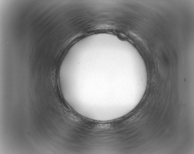 X0000074311313200609222350