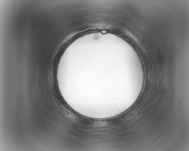 X0000074311315200609222350