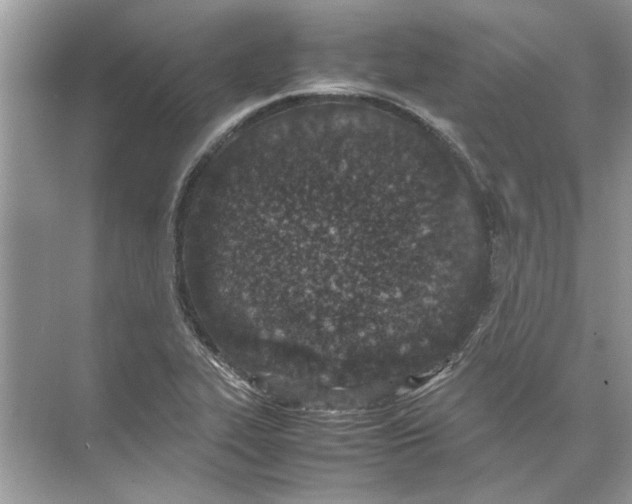 X0000074311319200609222350