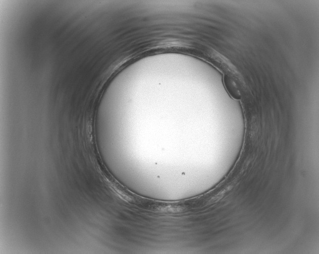 X0000074311321200609222350