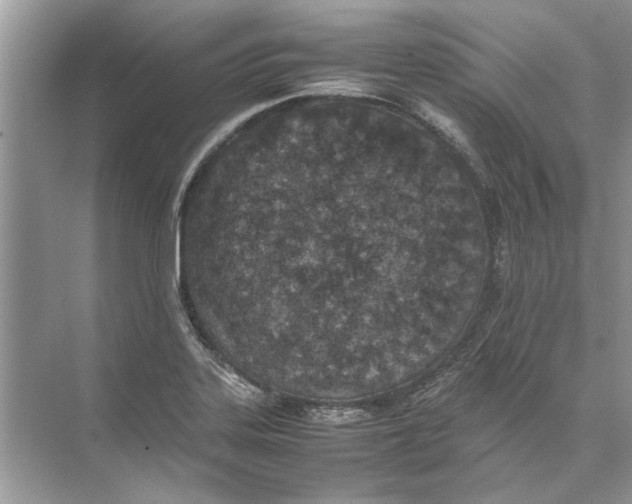 X0000074311323200609222350