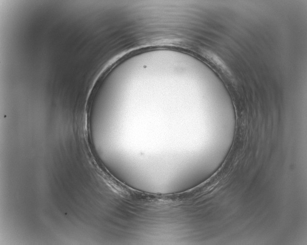 X0000074311324200609222350