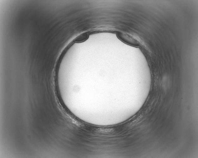 X0000074311325200609222350