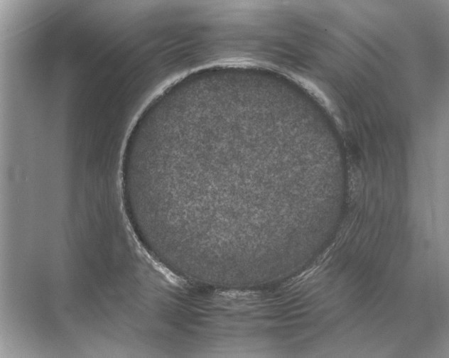 X0000074311327200609222350