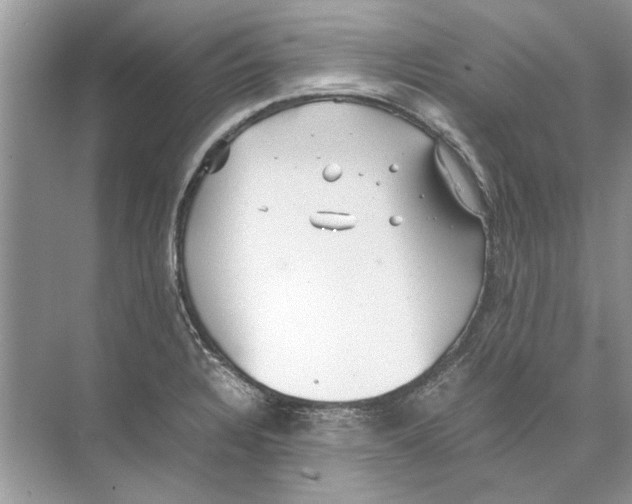 X0000074311328200609222351