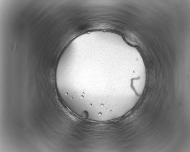 X0000074311329200609222351