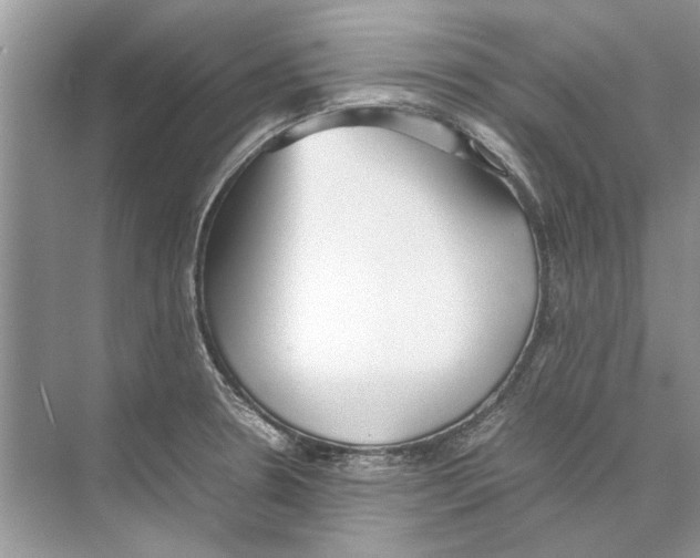 X0000074311330200609222351