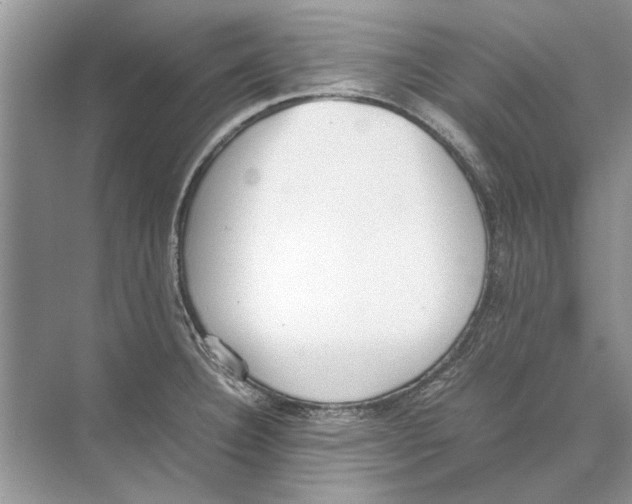 X0000074311332200609222351