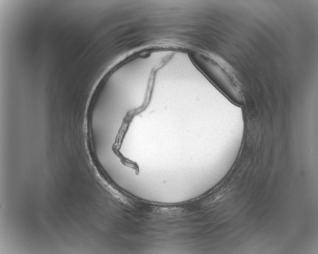 X0000074311335200609222351