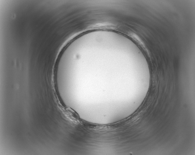 X0000074311336200609222351