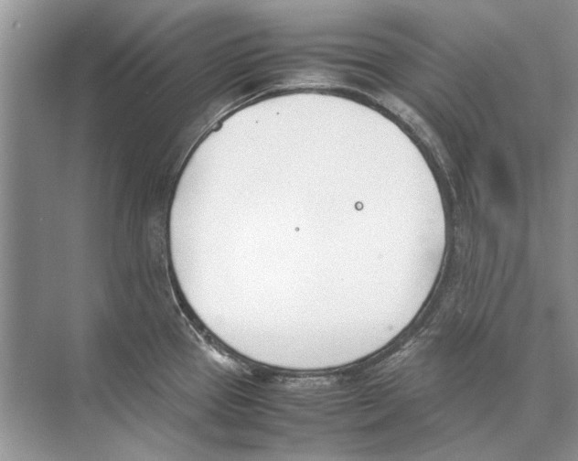 X0000074311337200609222351