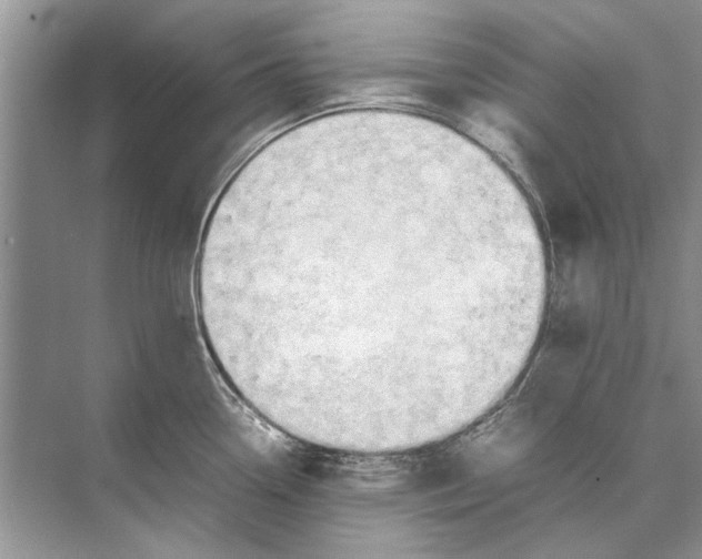 X0000074311338200609222351