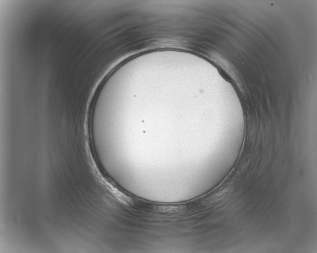 X0000074311339200609222351