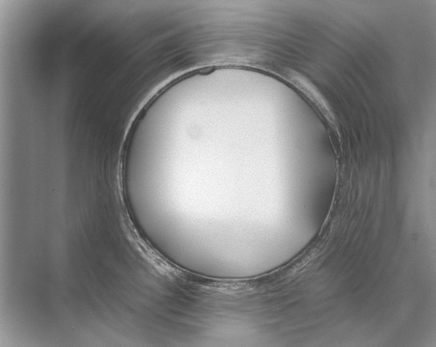 X0000074311340200609222351