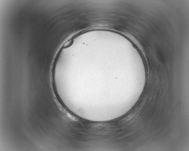 X0000074311341200609222351