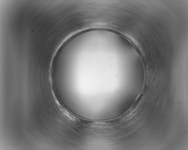 X0000074311342200609222351