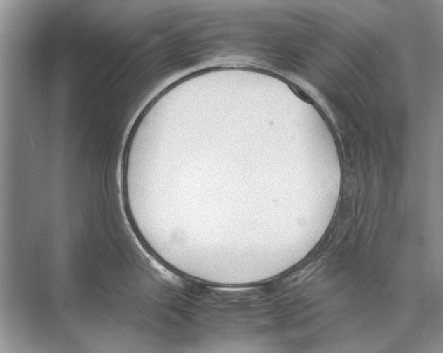 X0000074311343200609222351