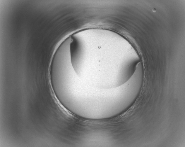 X0000074311344200609222351