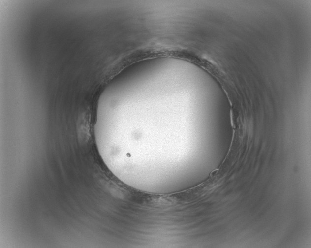 X0000074311348200609222350