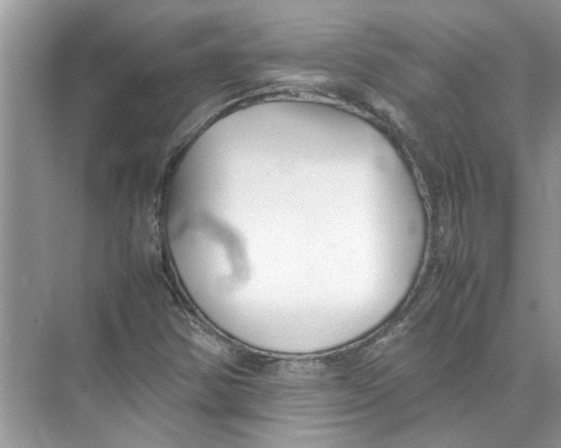 X0000074311354200609222350