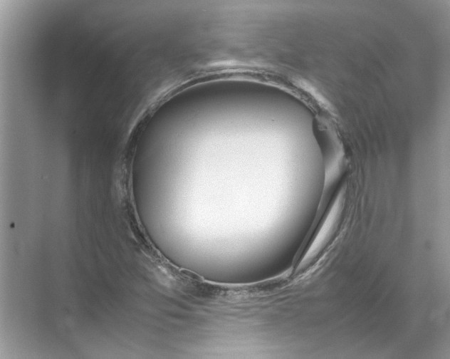 X0000074311357200609222350