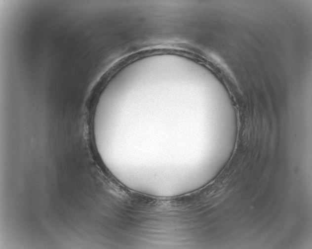 X0000074311360200609222350