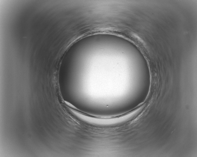 X0000074311361200609222350