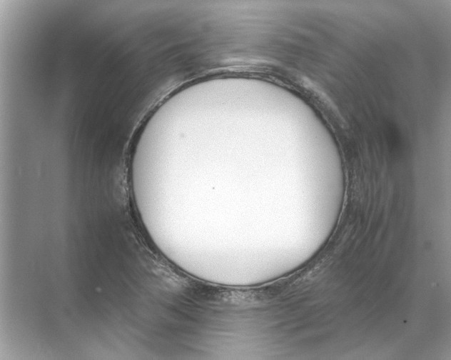 X0000074311362200609222350