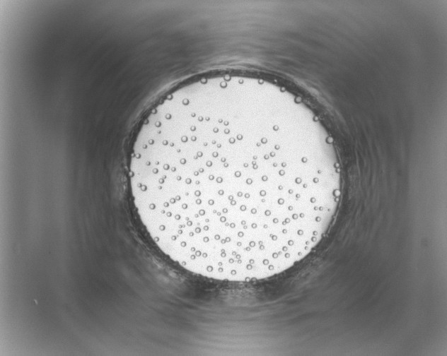 X0000074311363200609222350