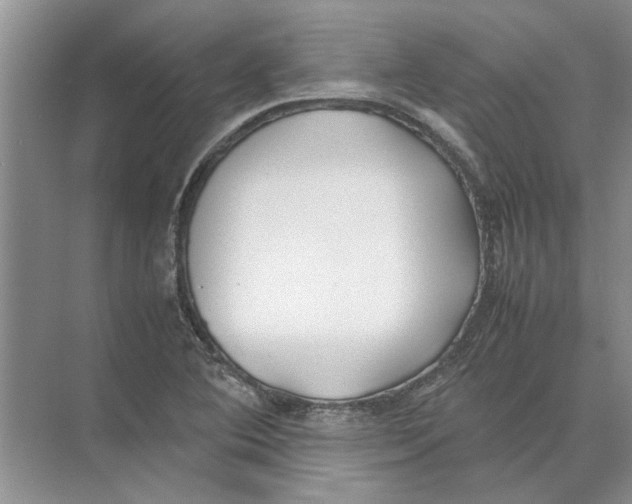 X0000074311364200609222350