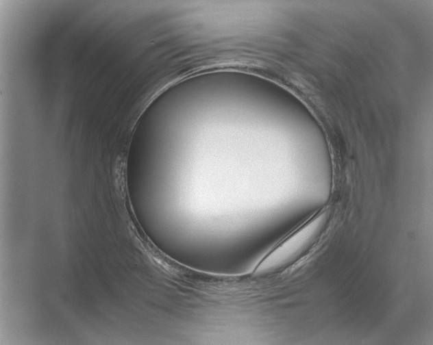 X0000074311369200609222350