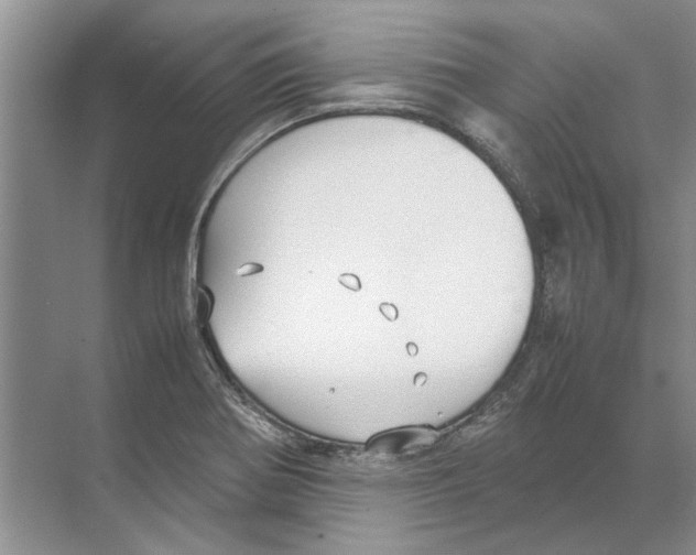 X0000074311370200609222350