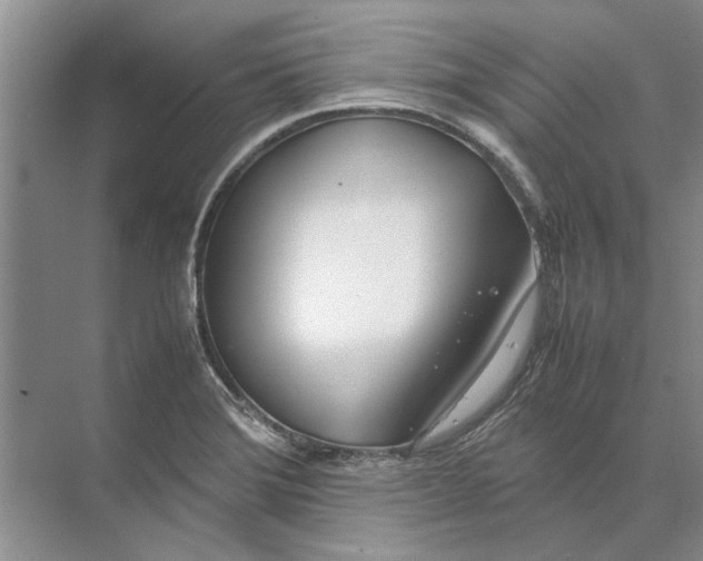 X0000074311372200609222350