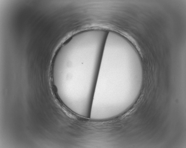 X0000074311373200609222350