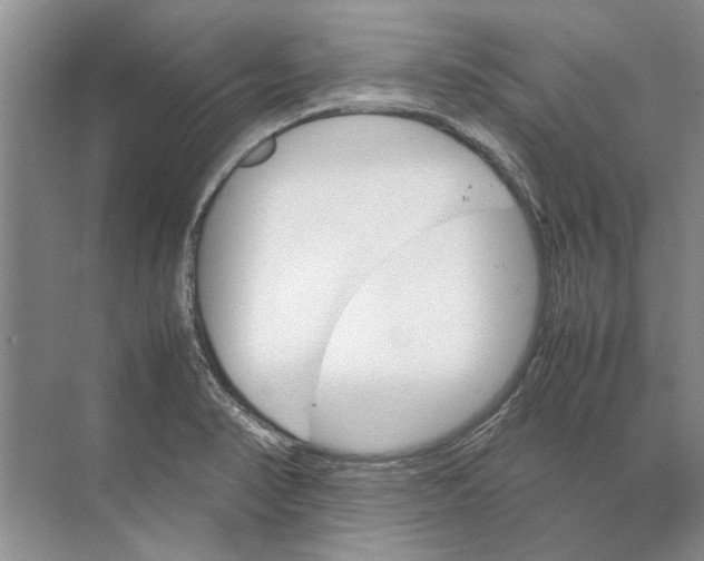 X0000074311374200609222349