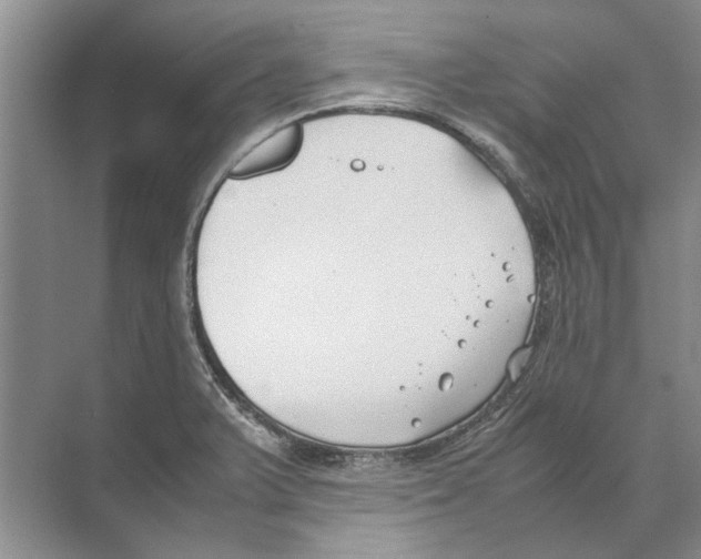 X0000074311375200609222349