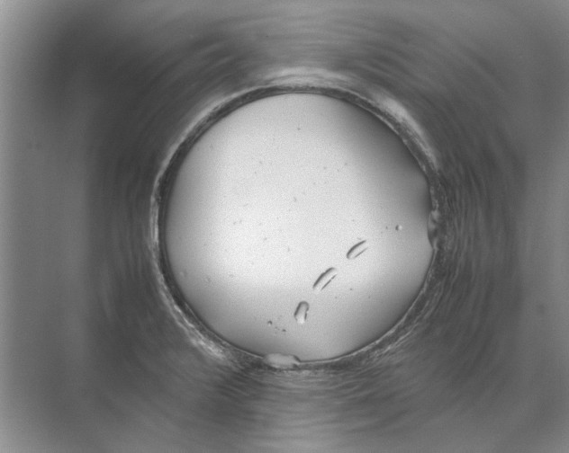 X0000074311376200609222349