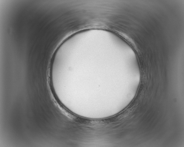 X0000074311383200609222349