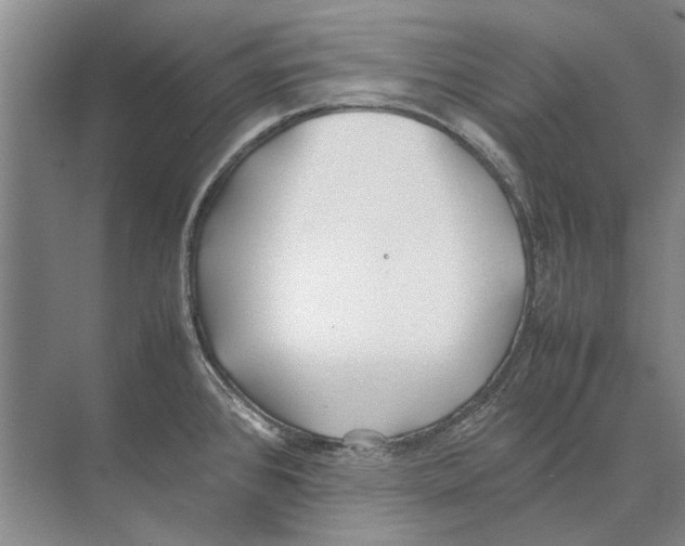 X0000074311384200609222349