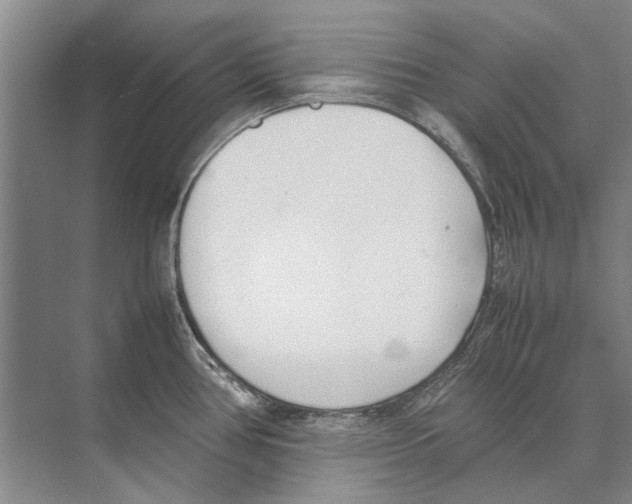 X0000074311386200609222349