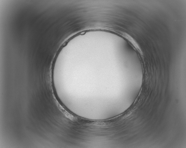 X0000074311388200609222349